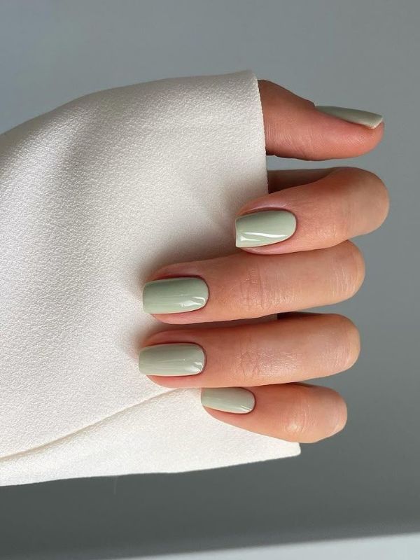 Sage Green Minimal