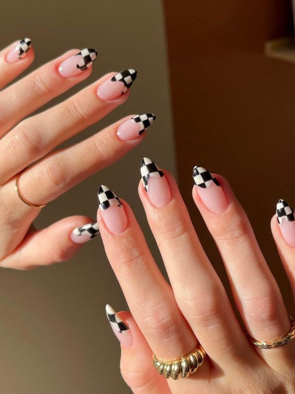 Checker French Fusion